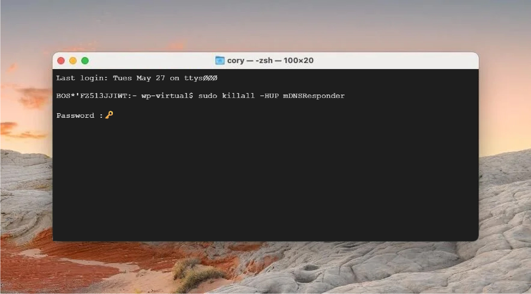 macOS terminal